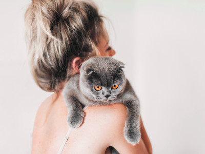 Хозяйка кота с чувством юмора рассмешила очередь в ветклинике