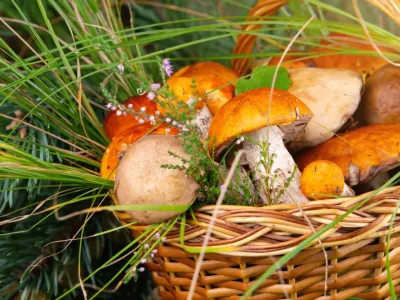 Назван неожиданный продукт, который защитит от тяжелых болезней