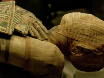 То, что учёные увидели на руке мумии,  озадачило их