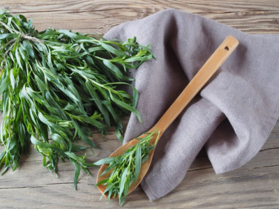 Чем опасен тархун для человека