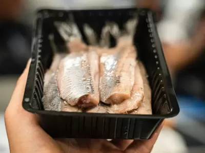 Правда о селедке: какую лучше не покупать