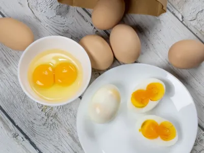 Отличие коричневых яиц от белых: какие покупать?