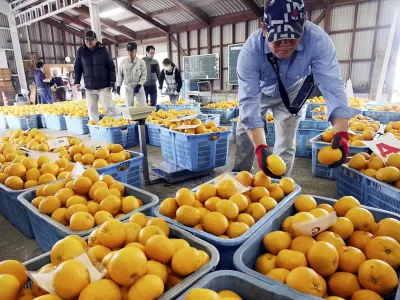 Эксперт сказал о влиянии войны в Иране на цены в магазинах РФ