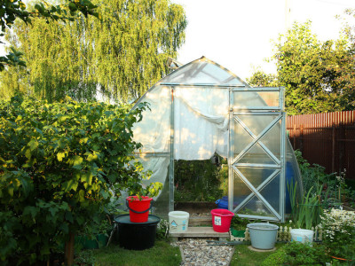 Запрет на теплицы с 1 мая: что важно срочно проверить на своём участке