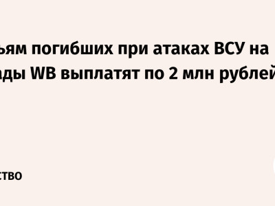 Cемьям погибших при атаках ВСУ на склады WB выплатят по 2 млн рублей