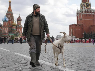 Выгул козы на Красной площади карается арестом