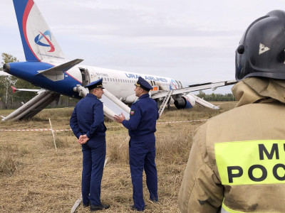 Дело пилота Белова, посадившего самолет в поле, вновь вернули в прокуратуру