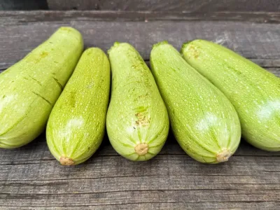 Кабачковая икра на зиму: как добиться того самого вкуса из детства