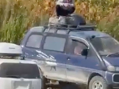 Медведь загнал отдыхавшего на Сахалине мужчину на крышу машины и попал на видео