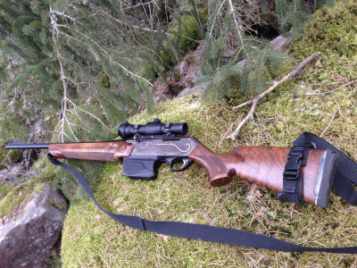Под Иркутском решили ликвидировать медведя, который повадился ходить к туристам к отелю в Листвянке