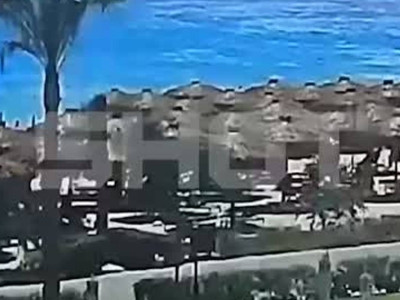 Пальма рухнула на лежаки с российскими туристами в Египте и попала на видео