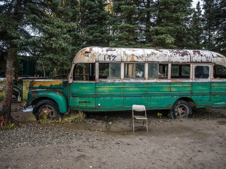 Заброшенный автобус стоял в лесу: что увидели люди, войдя внутрь