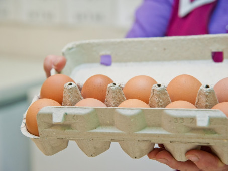 Врач развеяла мифы про влияние яиц на здоровье человека