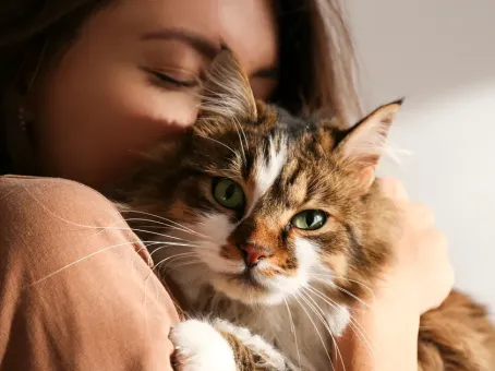 Учёные предупредили: объятия с котами могут стоить вам здоровья