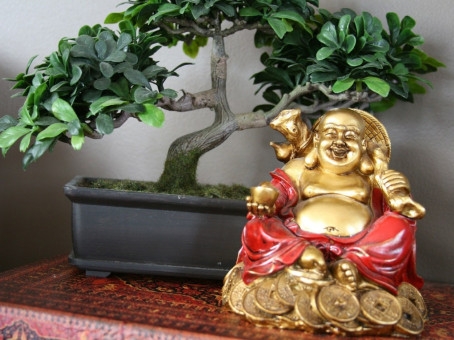 Что нельзя хранить дома: 12 запретов фэн-шуй