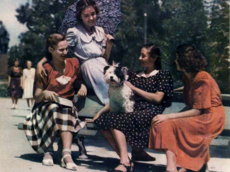 Каким был идеал женской красоты в 1950-е годы?