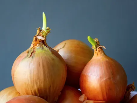 Что будет, если постоянно есть лук: люди даже не представляют