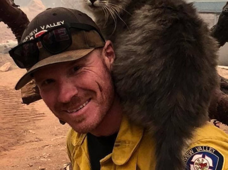 Пожарный спас кошку, и её благодарности не было предела