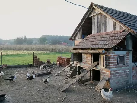 Что стало с девочкой, 10 лет жившей в курятнике