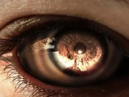 Знаки Зодиака, которых Бог наградил особым даром