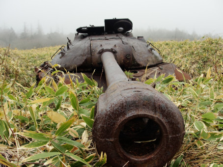 В лесу был найден старый танк: открыв его, не поверили глазам