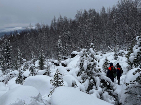 В лесу, где пропали Усольцевы, зафиксировали странное