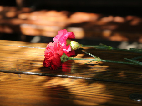 Актёр популярного сериала погиб в пожаре