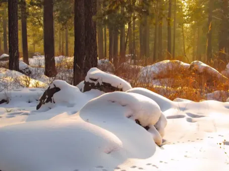 Аномально снежная зима повлияет на лето: к чему готовиться россиянам
