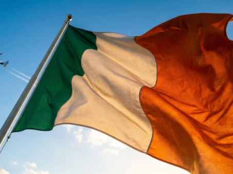 На что пошли власти Ирландии, чтобы избавиться от украинцев