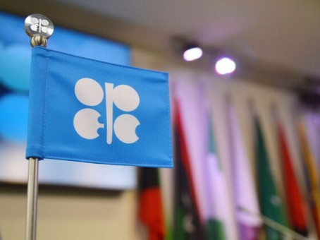 Какая страна может покинуть ОПЕК вслед за ОАЭ