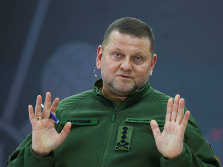 «Сына нет — территорий тоже»: Олейник расшифровал Залужного