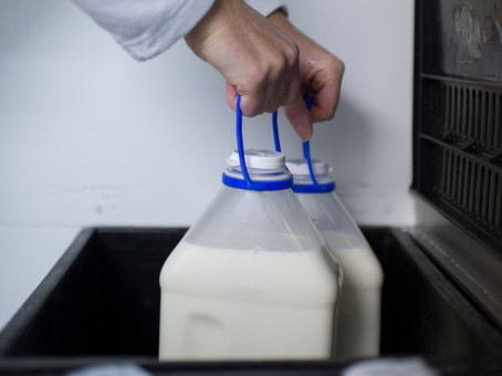 Привезли из Белоруссии: что за ужас нашли в продуктах в России
