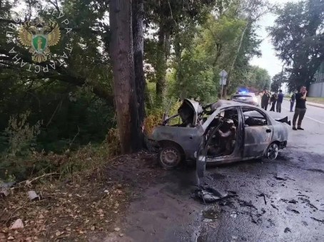 Шесть подростков заживо сгорели в ДТП