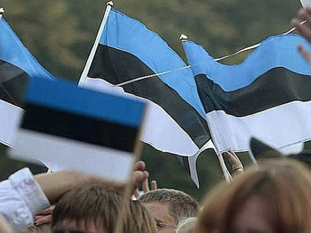 В дипмиссии РФ рассказали, чем Эстония оправдывает военные расходы
