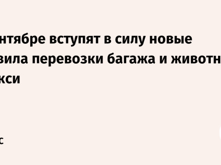 В сентябре вступят в силу новые правила перевозки багажа и животных в такси
