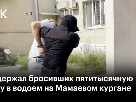 СК задержал бросивших пятитысячную купюру в водоем на Мамаевом кургане
