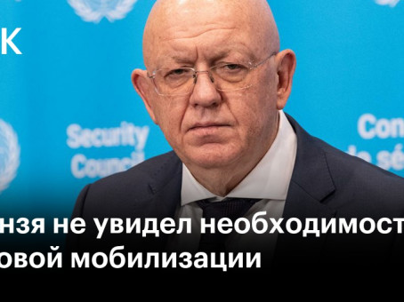 Небензя не увидел необходимости в массовой мобилизации