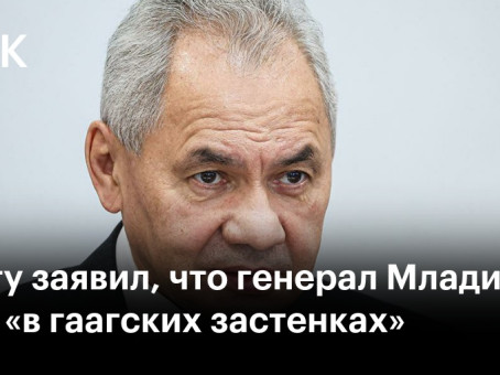 Шойгу заявил, что генерал Младич умер «в гаагских застенках»