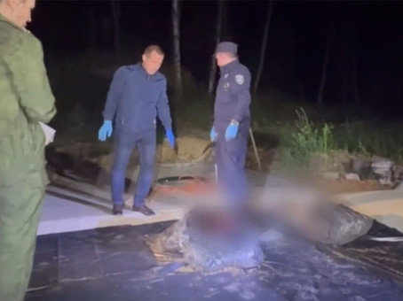 Следователи показали кадры с места, где закопали расчлененных в Подмосковье супругов