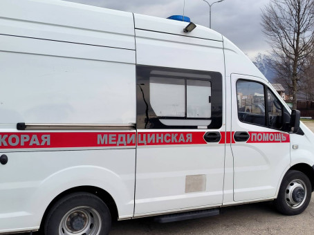 Стало известно об устроенной медведем «бойне» в российском селе