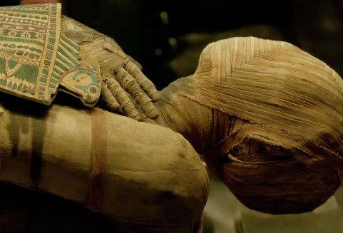 То, что учёные увидели на руке мумии,  озадачило их