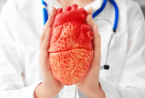 Риск смерти от инфаркта зависит от числа зубов