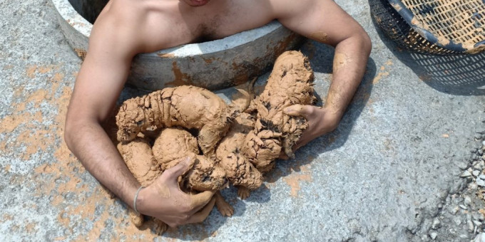 Юноша нашел странное нечто в грязи: финал вышел чудесным