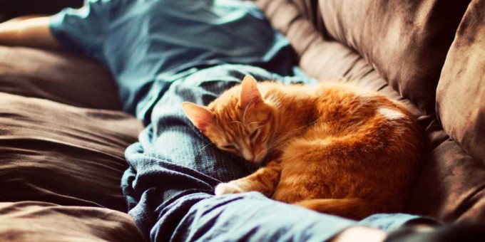 Почему нельзя говорить рядом со спящим человеком