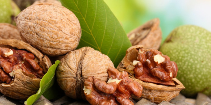 Грецкий орех: простой продукт, который продлевает жизнь