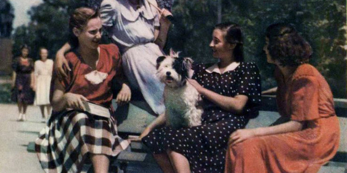 Каким был идеал женской красоты в 1950-е годы?