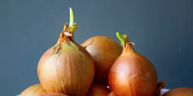 Что будет, если постоянно есть лук: люди даже не представляют