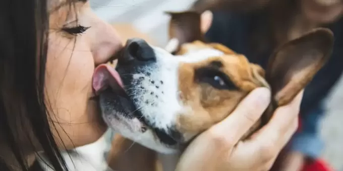 Что на самом деле происходит, когда собака облизывает ваше лицо?