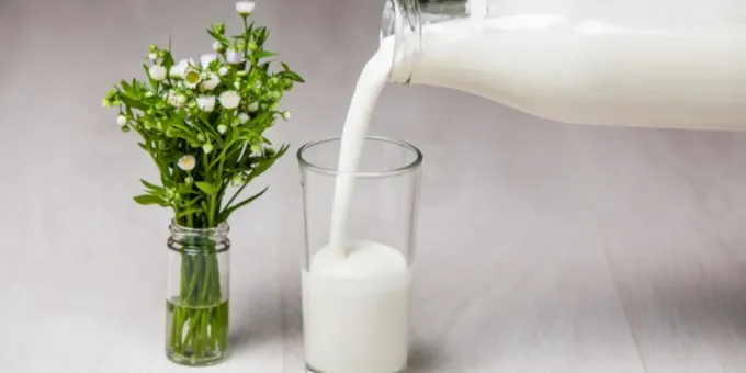 Сколько надо выпить кефира, чтобы опьянеть