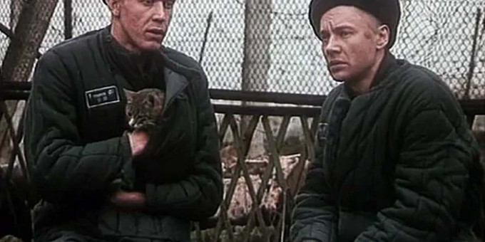 Почему у воров в законе не принято рукопожатие